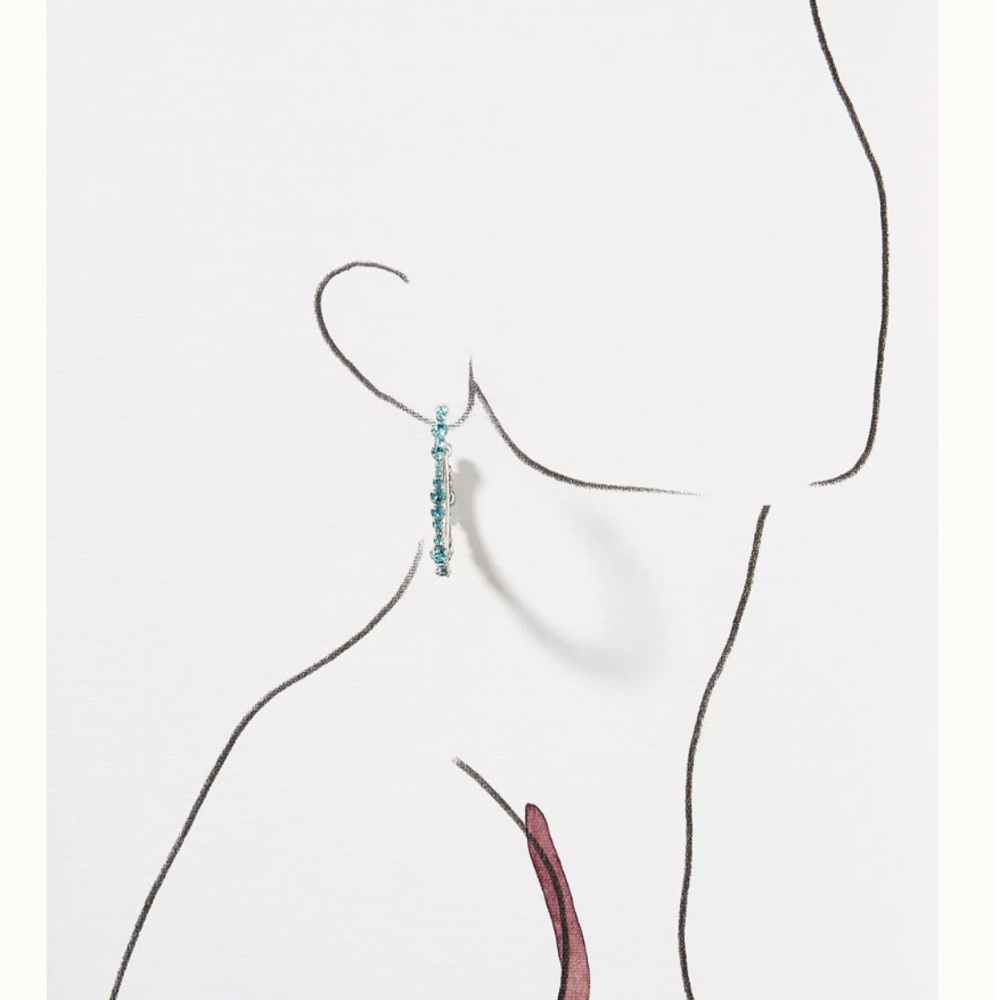 DANNIJO Alicia Swarovski Crystal Hoop Earrings - Picture 2 of 7
